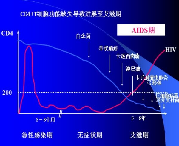 HIV感染下CD4+T細胞計數(shù)變化