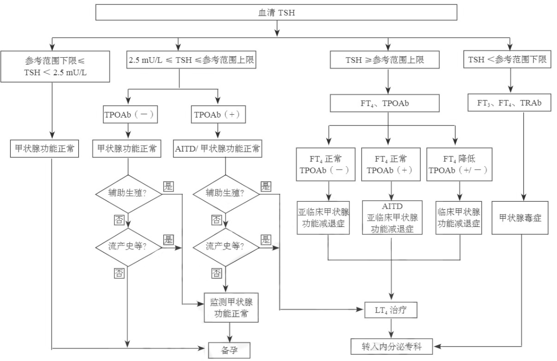 孕前血清TSH篩查、診斷和管理流程