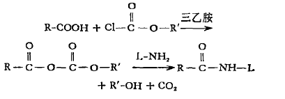 混合酸酐法 混合酸酐法