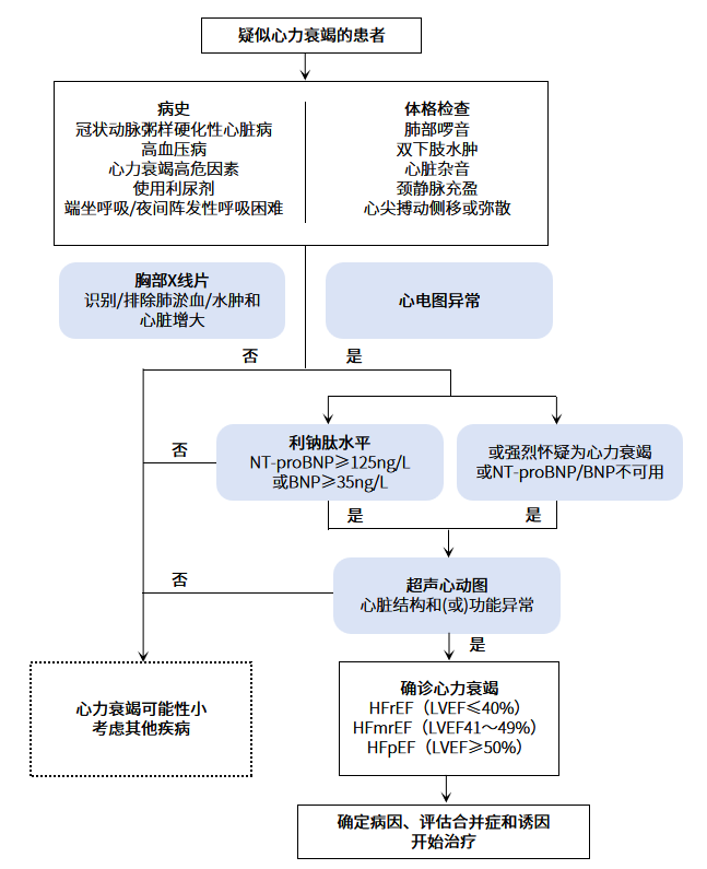 慢性心衰的診斷流程